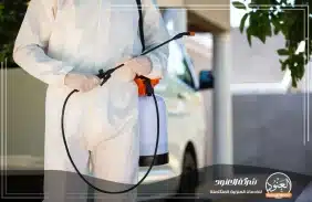 شركة مكافحة حشرات بمكة