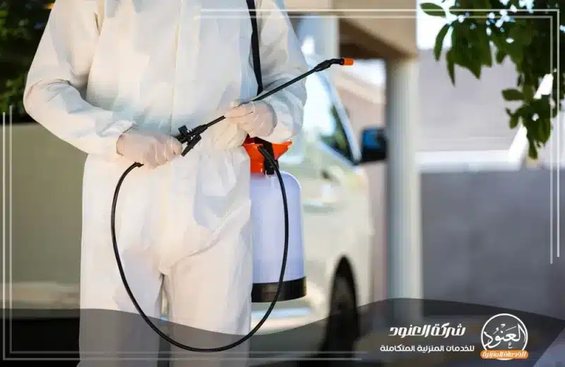 شركة مكافحة حشرات بمكة