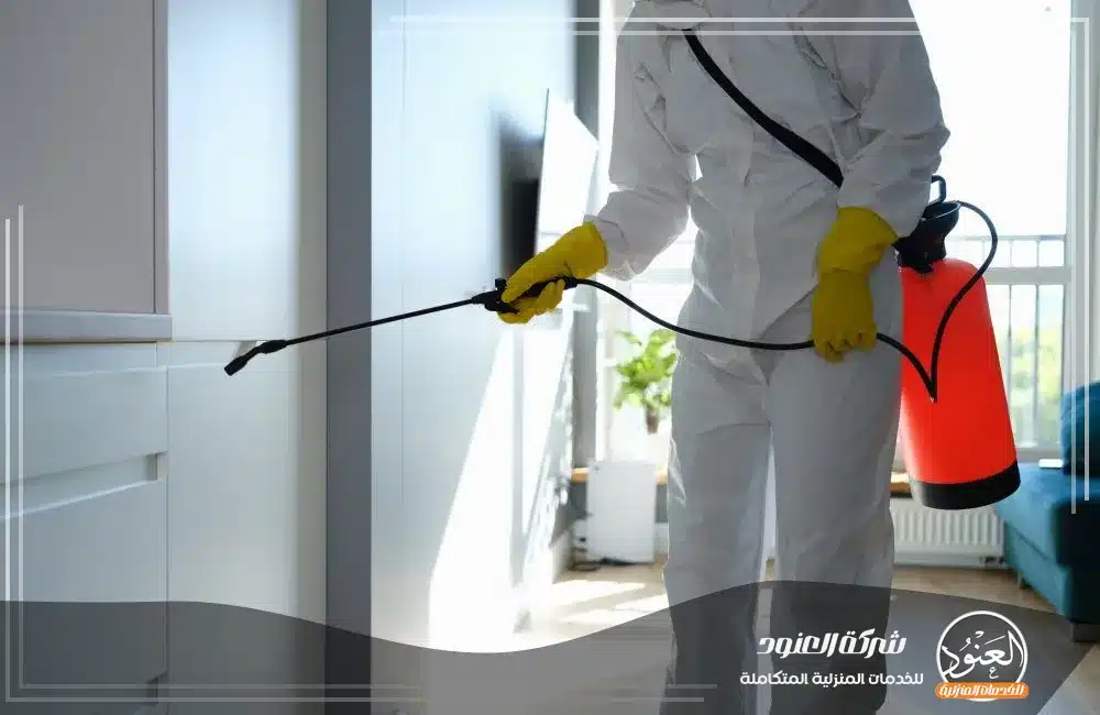 شركة مكافحة حشرات بمكة شركة مكافحة حشرات بمكة
