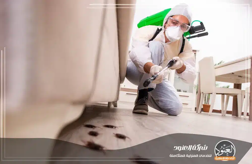 شركة مكافحة حشرات بمكة شركة مكافحة حشرات بمكة