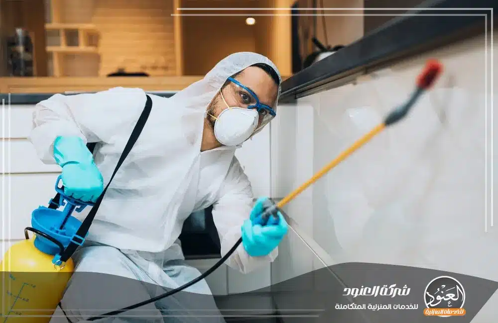 شركة مكافحة حشرات بمكة شركة مكافحة حشرات بمكة