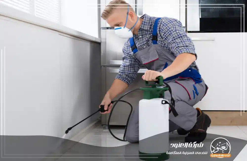 شركة مكافحة حشرات بمكة شركة مكافحة حشرات بمكة