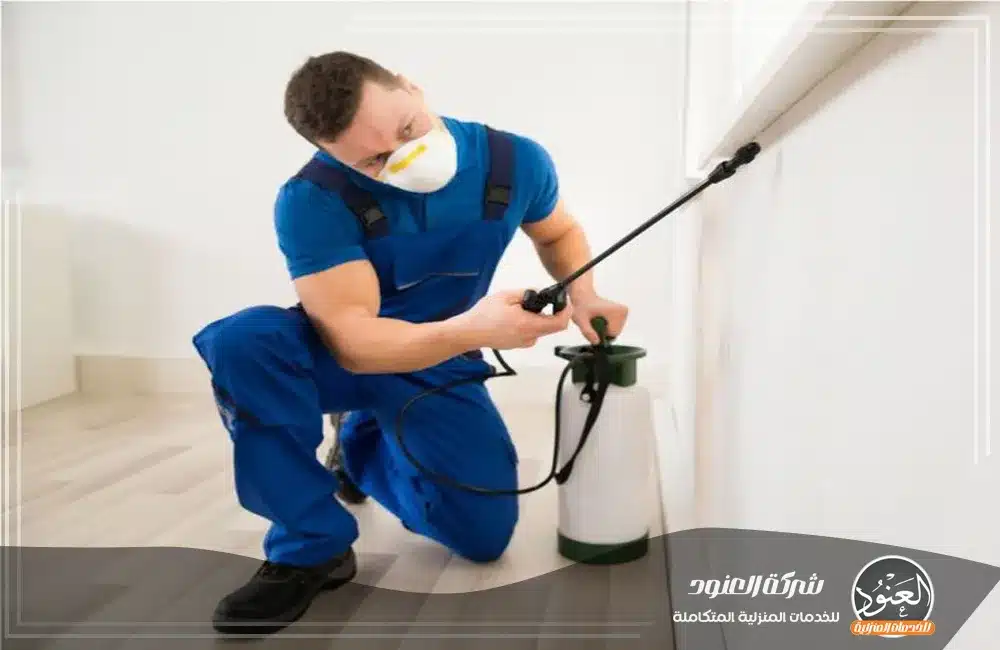 شركة مكافحة حشرات بمكة شركة مكافحة حشرات بمكة